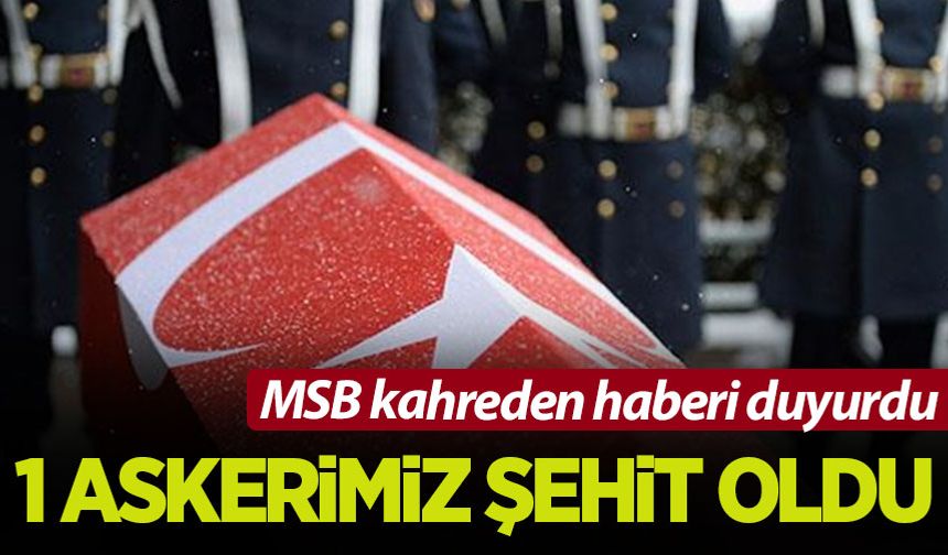 MSB kahreden haberi duyurdu! 1 askerimiz şehit oldu