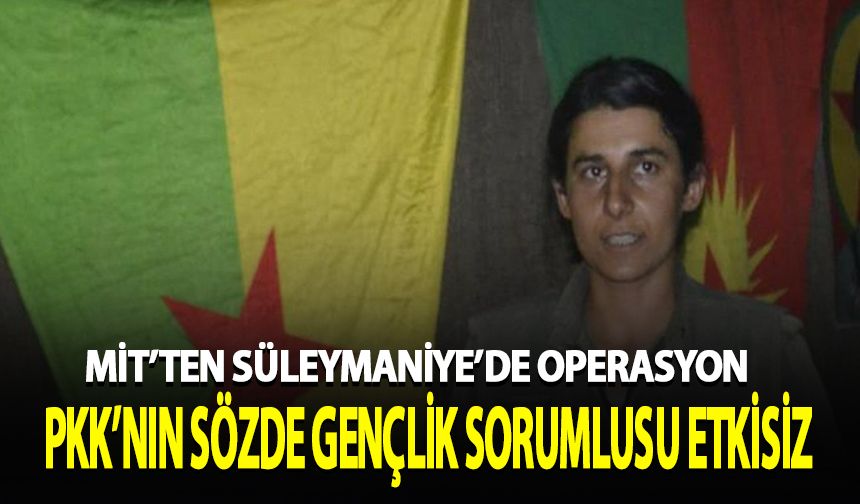 MİT, PKK'nın sözde gençlik sorumlusunu etkisiz hale getirdi