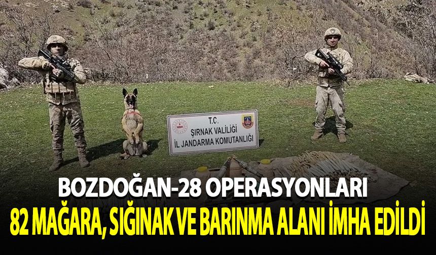 "Bozdoğan-28" operasyonlarında 82 mağara, sığınak ve barınma alanı imha edildi