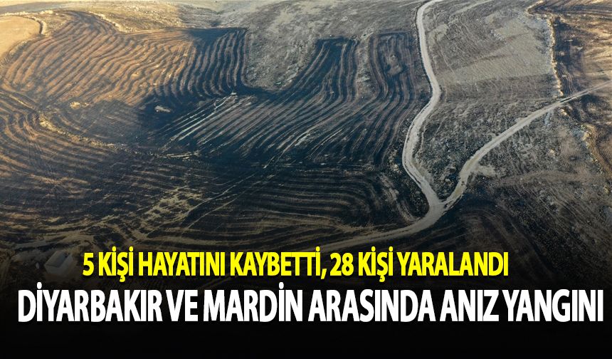 Diyarbakır ve Mardin arasında anız yangını: 5 ölü