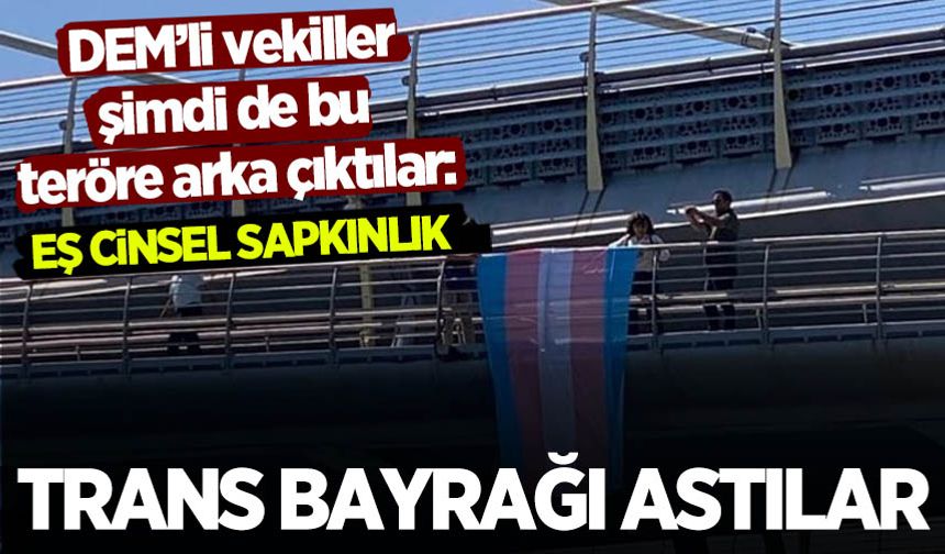 DEM Partililer, eş cinsel sapkınlık terörüne destek için bayrak astılar