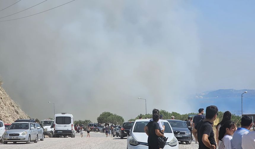 İzmir Dikili'de orman yangını