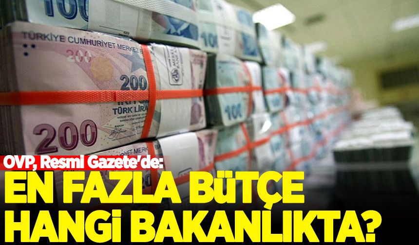 OVP, Resmi Gazete'de: En fazla bütçe hangi bakanlığa verilecek?