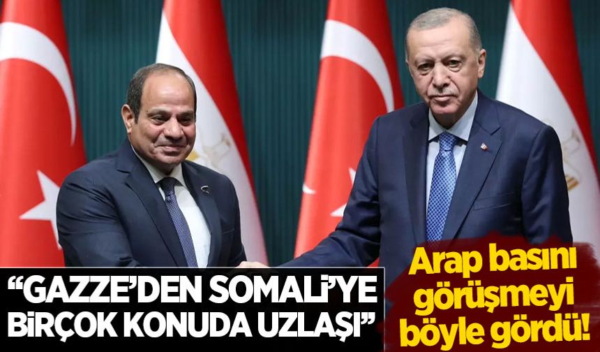 Erdoğan-Sisi görüşmesi Arap basınında: 'Yeni bir aşamanın başlangıcı'