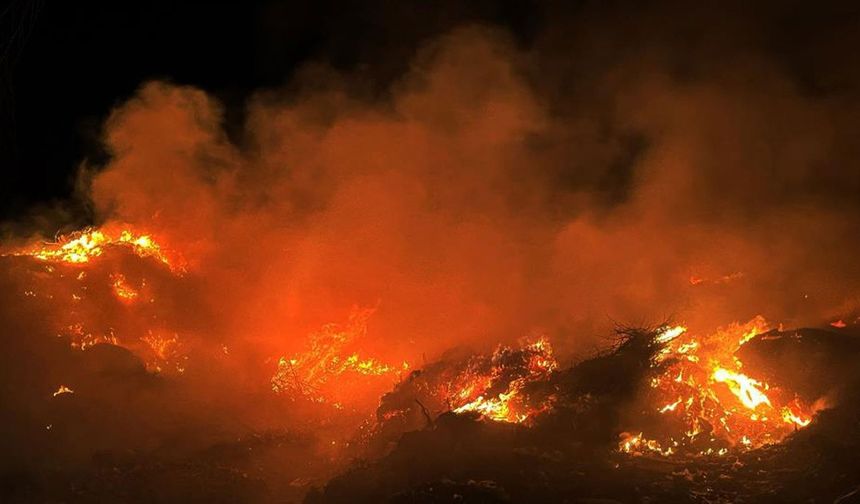 Muğla'da çöplük yangını