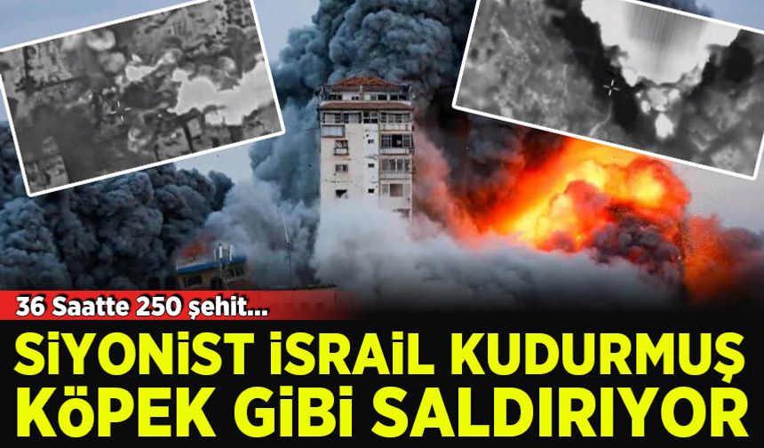 Gazze'de son 36 saatte en az 250 kişi şehit edildi