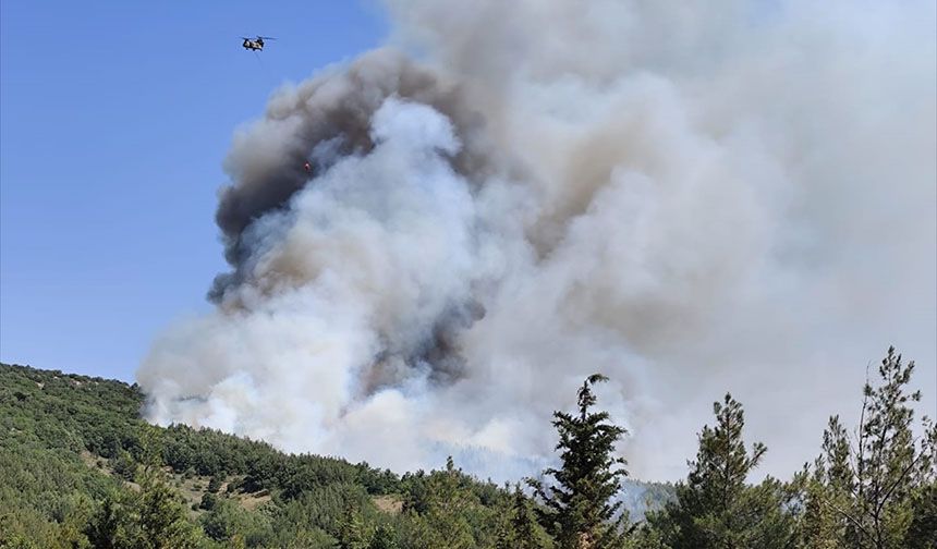 Balıkesir'de çıkan orman yangınına müdahale ediliyor