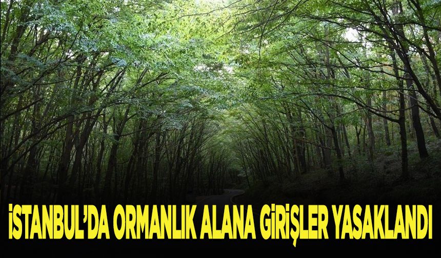 İstanbul'da ormanlık alana girişler yasaklandı