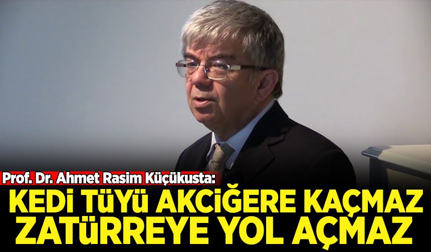 Prof. Dr. Ahmet Rasim Küçükusta: Kedi tüyü akciğere kaçmaz, zatürreye yol açmaz