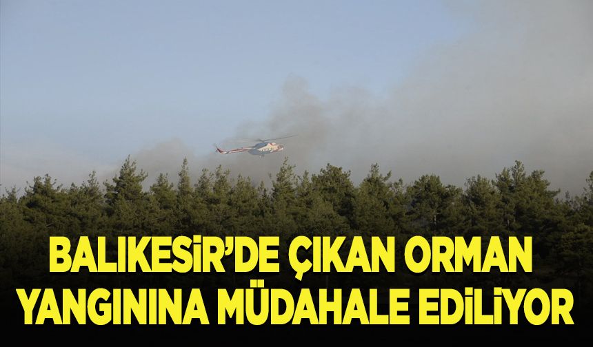 Balıkesir'de çıkan orman yangınına müdahale ediliyor