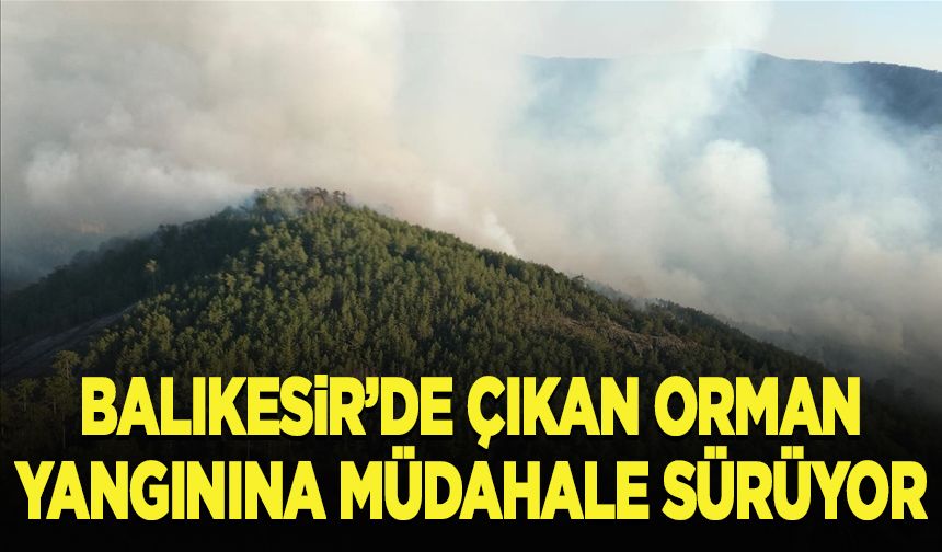 Balıkesir'de çıkan orman yangınına müdahale sürüyor
