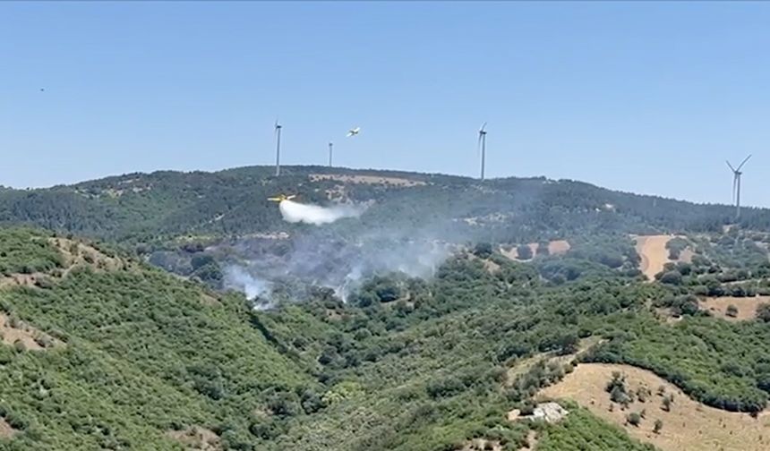 Balıkesir'de çıkan orman yangını kontrol altında