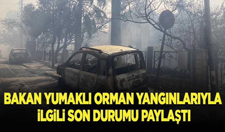 Bakan Yumaklı, orman yangınlarına ilişkin son durumu paylaştı