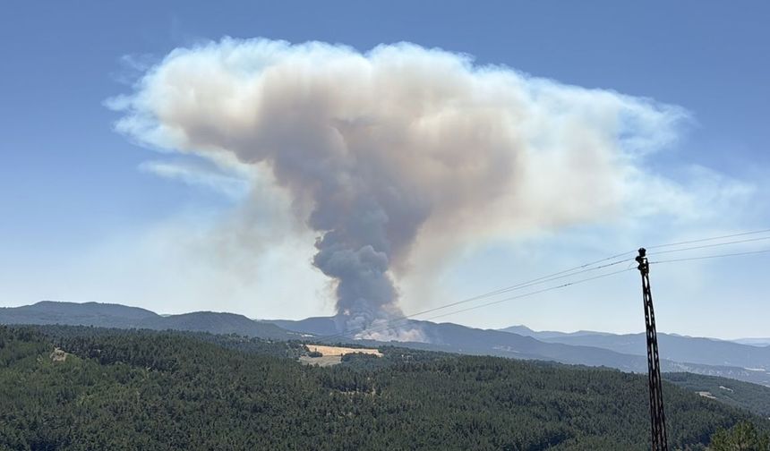 Bolu'da çıkan orman yangını kısmen kontrol altına alındı