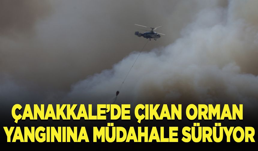 Çanakkale'de çıkan orman yangınına müdahale sürüyor
