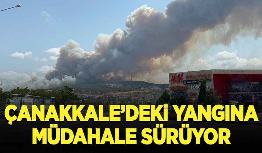Çanakkale'deki yangına müdahale sürüyor