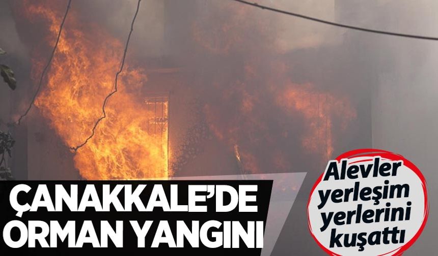 Çanakkale'de orman yangını: Yerleşim yerleri tahliye ediliyor