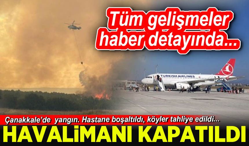 Çanakkale'de yangın bir anda büyüdü! 3 ilde orman yangını...
