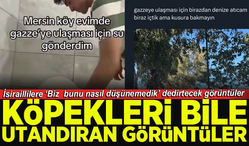Köpekleri bile utandıran görüntüler
