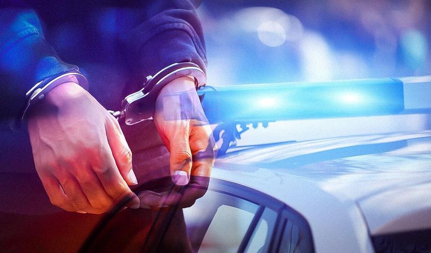 Balıkesir'in Sındırgı ilçesinde ormanlık alandaki yangına ilişkin 3 şüpheli yakalandı