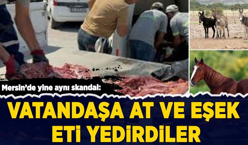 Mersin'de yine aynı skandal: Vatandaşa at ve eşek eti yedirdiler
