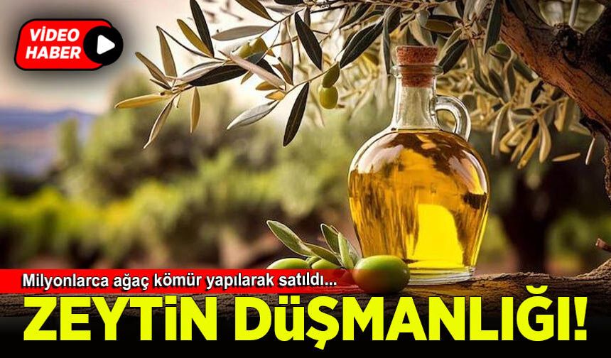 Türkiye'de Zeytin düşmanlığı'nın tarihçesi