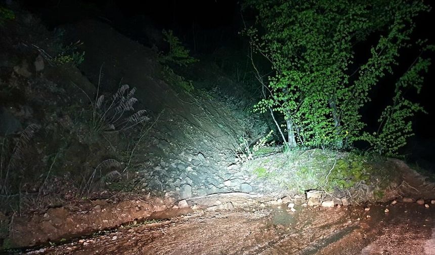 Bursa'da heyelan nedeniyle köy yoluna ağaçlar ve toprak yığınları düştü