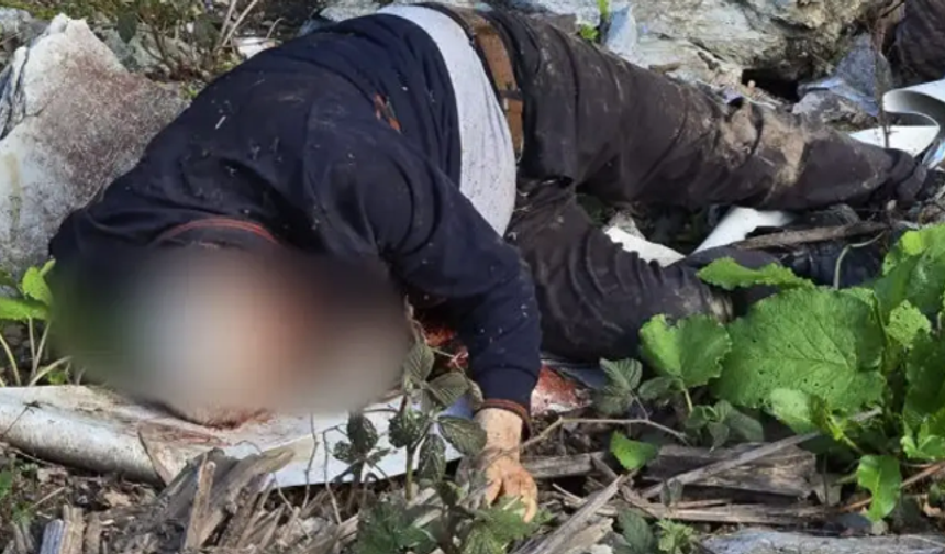Düzce'de vahşet: Kimliği belirsiz erkek cesedi bulundu