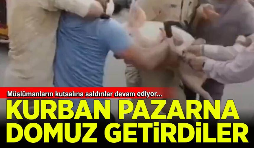 Kurban pazarına domuz getirdiler!