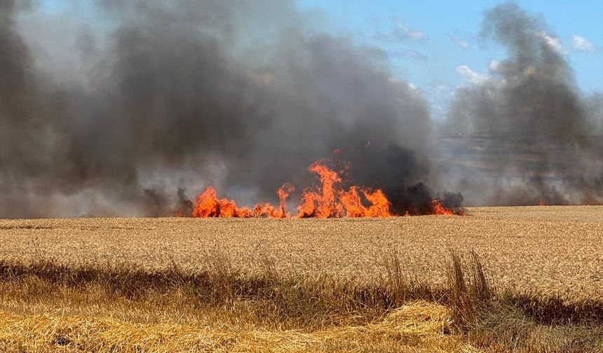 Silivri'de kırsal alanda çıkan yangına müdahale ediliyor