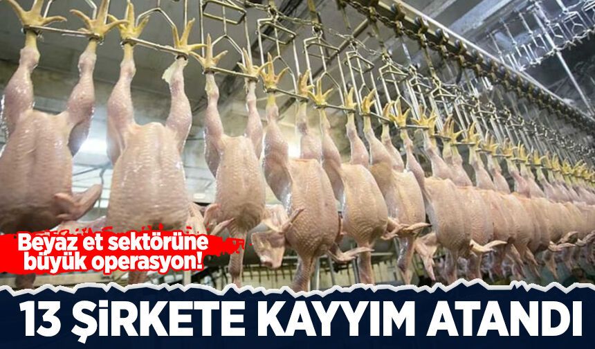 Beyaz et sektöründe 13 şirkete kayyım atandı!
