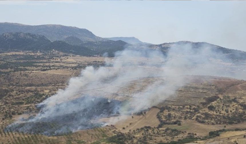 Çanakkale'de korkutan orman yangını!