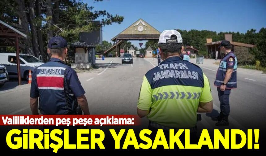 Valiliklerden peş peşe yasak kararı: Ormanlara yaz boyunca giriş olmayacak!