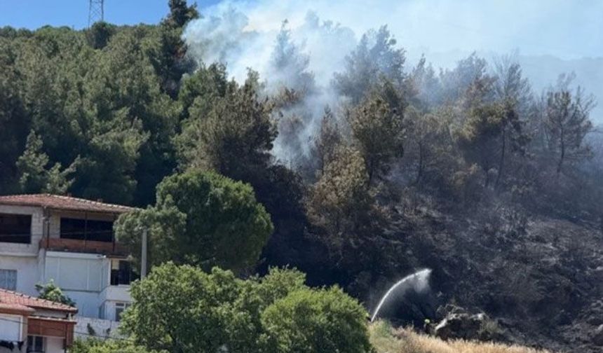 Balıkesir'de orman yangını çıktı