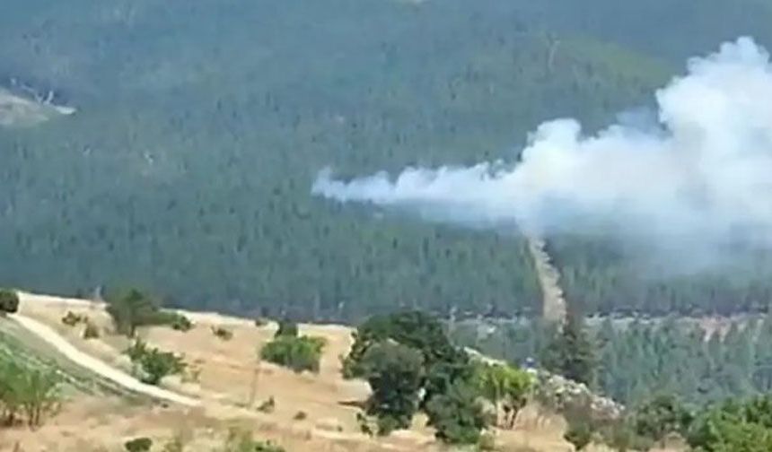 Bursa'da orman yangını!