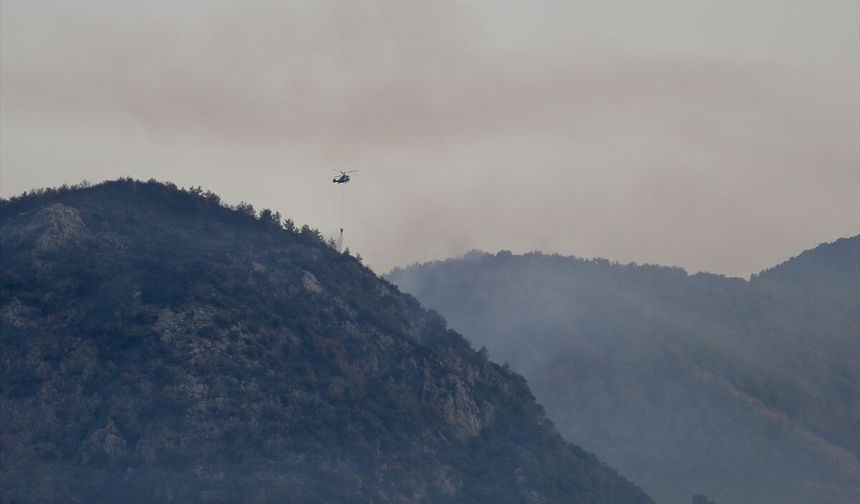 Fethiye'deki orman yangınına müdahale sürüyor