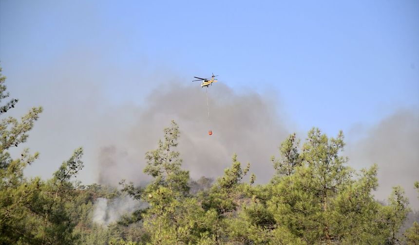Fethiye'de orman yangını çıktı