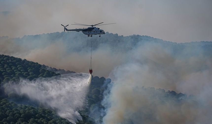 Balıkesir'in Gömeç ilçesindeki orman yangınına müdahale sürüyor