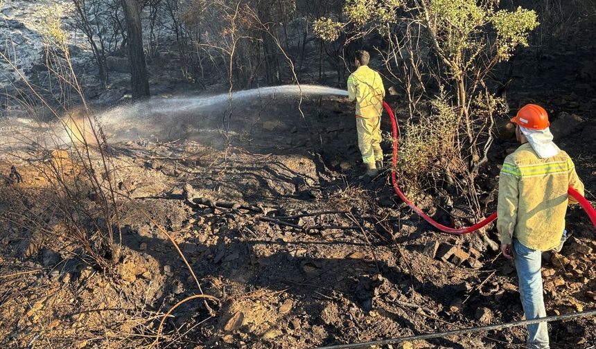 Antalya'nın Kumluca ilçesinde çıkan orman yangını kontrol altına alındı