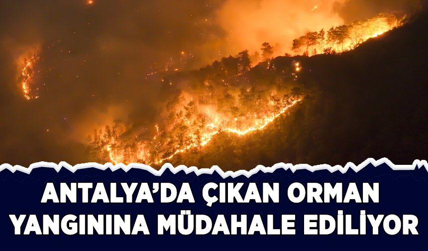 Antalya'da ormanlık alanda çıkan yangına müdahale ediliyor