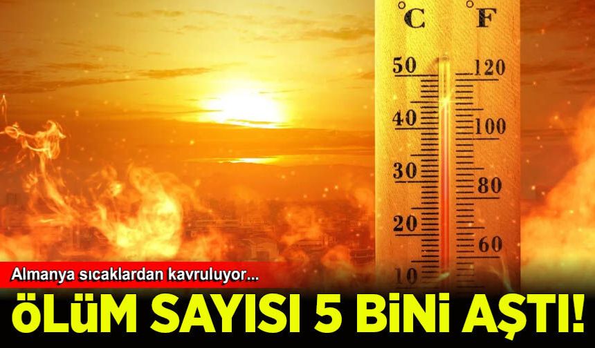 Almanya'da aşırı sıcakların bilançosu ağırlaştı: 5 bini aşkın ölüm