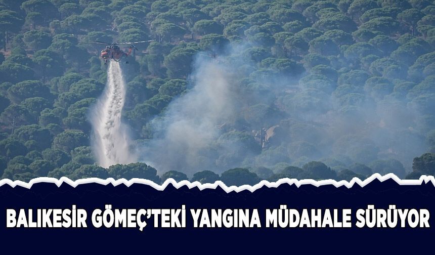 Balıkesir Gömeç'teki orman yangınına müdahale sürüyor