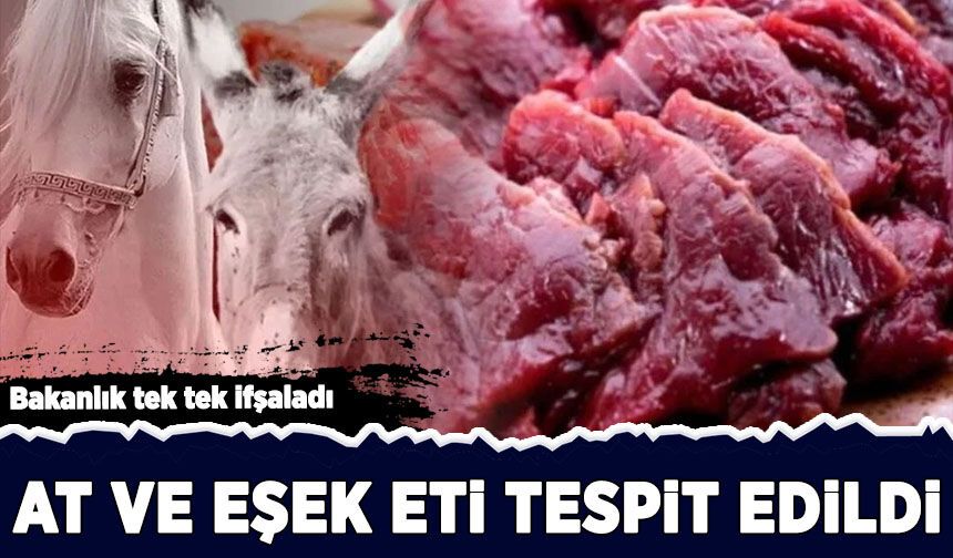 Bakanlık tek tek ifşaladı: Ürünlerde at ve eşek eti tespit edildi!