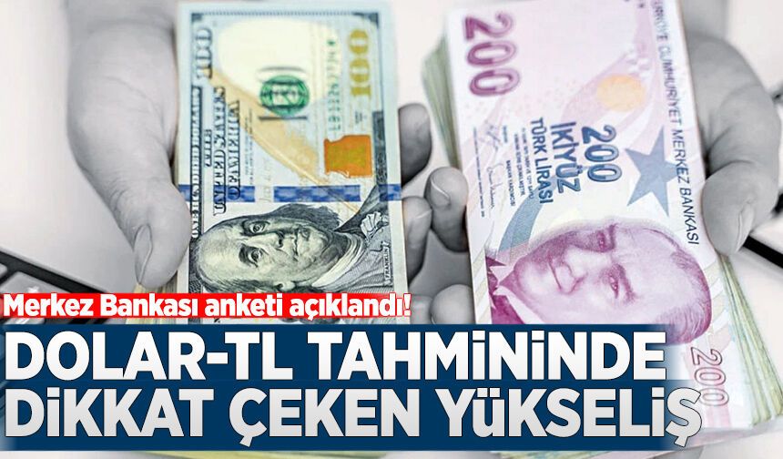 Merkez Bankası anketi açıklandı: Dolar/TL tahmininde dikkat çeken yükseliş