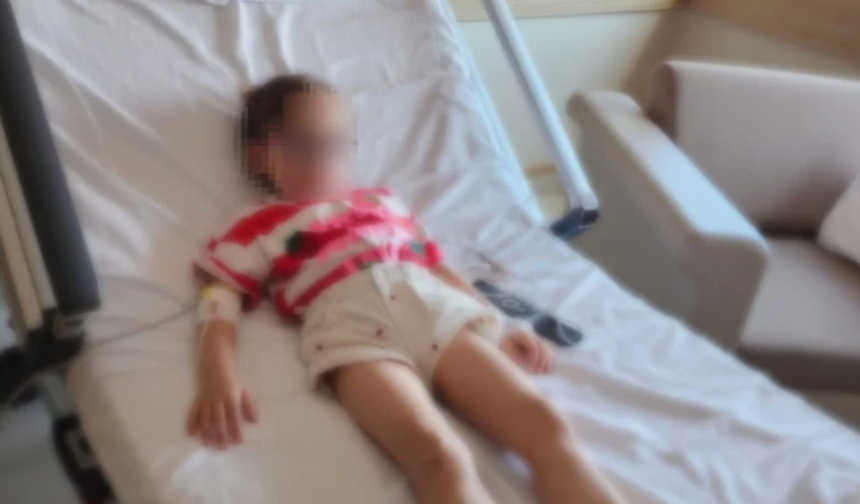Kocaeli'de kreşte fare zehiri ile oynayan çocuk hastanelik oldu