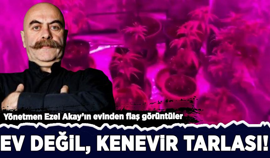 Yönetmen Ezel Akay'ın evinden şok görüntüler: Ev değil, kenevir tarlası!