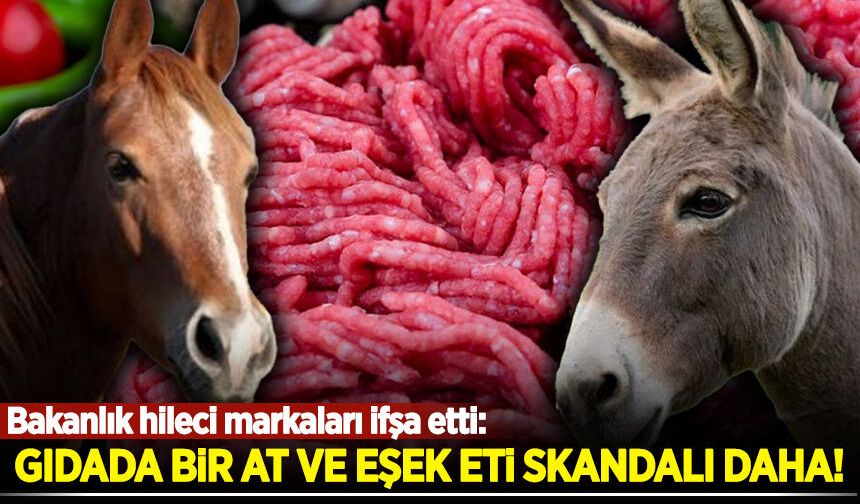 Gıdada bir at ve eşek eti skandalı daha! Bakanlık hileci markaları ifşa etti