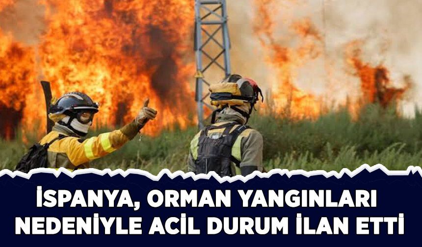 İspanya, orman yangınları nedeniyle "acil durum" ilan etti