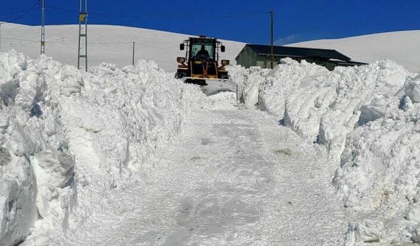 Yurt genelinde sıcak hava Kars'ta ise kar mesaisi var