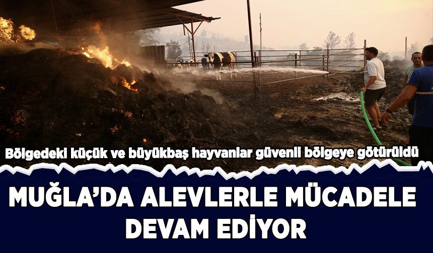 Muğla'nın Seydikemer ilçesindeki orman yangınına müdahale ediliyor